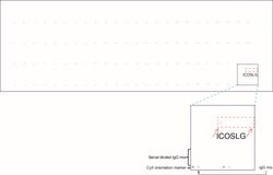 ICOSLG Mouse anti-Human, Clone: UMAB254, lyophilized, UltraMAB 100 &mu;g;