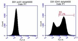IDH1 Mouse anti-Human, DyLight 488, Clone: OTI2H9, liquid, TrueMAB 100