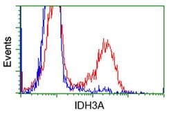 IDH3A Monoclonal Antibody (OTI2E9), TrueMAB , OriGene 100 &mu;L; Unconjugated:Antibodies,