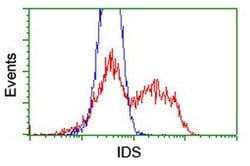 IDS Mouse anti-Human, Mouse, Clone: OTI1D9, liquid, TrueMAB 100 &mu;L;