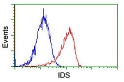 IDS Mouse anti-Human, Mouse, Clone: OTI1D9, liquid, TrueMAB 100 &mu;L;