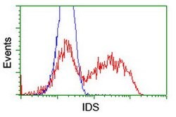 IDS Mouse anti-Canine, Human, Mouse, Rat, Clone: OTI4G2, lyophilized, TrueMAB
