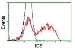 IDS Mouse anti-Canine, Human, Mouse, Rat, Clone: OTI4G2, liquid, TrueMAB