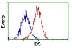 IDS Mouse anti-Canine, Human, Mouse, Rat, Clone: OTI4G2, lyophilized, TrueMAB