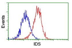 IDS Mouse anti-Canine, Human, Mouse, Rat, Clone: OTI4G2, liquid, TrueMAB