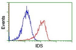 IDS Mouse anti-Canine, Human, Mouse, Rat, Clone: OTI4G2, lyophilized, TrueMAB