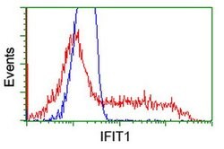 IFIT1 Mouse anti-Human, Mouse, Rat, Clone: OTI3G8, lyophilized, TrueMAB