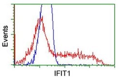 IFIT1 Mouse anti-Human, Mouse, Rat, Clone: OTI3G8, liquid, TrueMAB 100