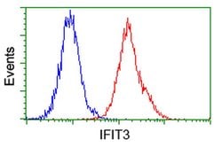 IFIT3 Mouse anti-Human, Clone: OTI1G1, liquid, TrueMAB 30 &mu;L; Unconjugated:Antibodies,