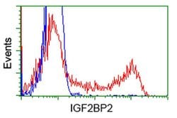 IGF2BP2 Monoclonal Antibody (OTI5G3), TrueMAB , OriGene 100 &mu;L; Unconjugated:Antibodies,