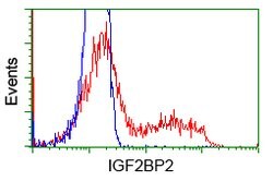 IGF2BP2 Mouse anti-Human, Clone: OTI3C8, lyophilized, TrueMAB 100 &mu;g;