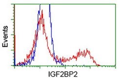 IGF2BP2 Mouse anti-Human, Clone: OTI4D10, lyophilized, TrueMAB 100 &mu;g;