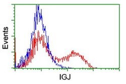 IGJ Monoclonal Antibody (OTI3C7), TrueMAB , OriGene 30 &mu;L; Unconjugated:Antibodies,