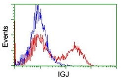 IGJ Monoclonal Antibody (OTI3B5), TrueMAB , OriGene 100 &mu;L; Unconjugated:Antibodies,