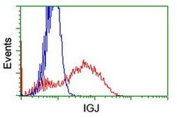 IGJ Monoclonal Antibody (OTI2B9), TrueMAB , OriGene 100 &mu;L; Unconjugated:Antibodies,