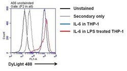 Invitrogen IL-6 Recombinant Rabbit Monoclonal Antibody (4H16L21) 100 &mu;g;