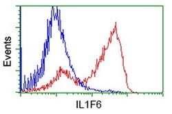 IL1F6 Monoclonal Antibody (OTI1A4), TrueMAB , OriGene 100 &mu;L | Buy Online | Origene Technologies | Fisher Scientific