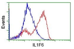 IL1F6 Monoclonal Antibody (OTI1D11), TrueMAB , OriGene 30 &mu;L; Unconjugated:Antibodies,