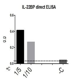 Invitrogen IL22RA2 Polyclonal Antibody 100 &mu;L; Unconjugated:Antibodies,