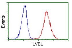 ILVBL Monoclonal Antibody (OTI1A12), TrueMAB , OriGene:Antibodies:Primary