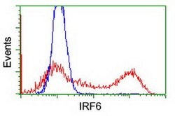 IRF6 Mouse anti-Human, Clone: OTI1G3, lyophilized, TrueMAB 100 &mu;g; Unconjugated:Antibodies,