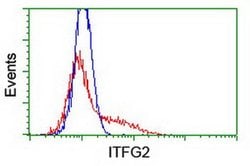 ITFG2 Monoclonal Antibody (OTI 3D8), TrueMAB , OriGene 30 &mu;L | Buy Online | OriGene | Fisher Scientific