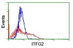 ITFG2 Monoclonal Antibody (OTI3E10), TrueMAB , OriGene 100 &mu;L; Unconjugated:Antibodies,