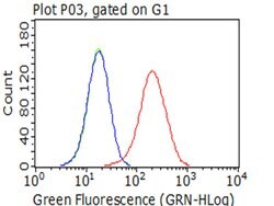 ITGB1 Monoclonal Antibody (OTI9B5), TrueMAB , OriGene 100 &mu;L; Unconjugated:Antibodies,