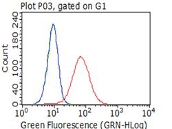 ITGB1 Monoclonal Antibody (OTI9B5), TrueMAB , OriGene 100 &mu;L; Unconjugated:Antibodies,
