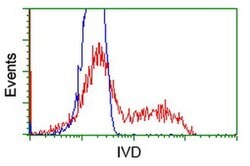 IVD Monoclonal Antibody (OTI5A11), TrueMAB , OriGene 100 &mu;L; Unconjugated:Antibodies,