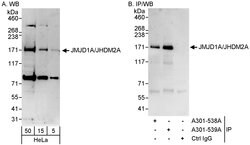JMJD1A/JHDM2A Rabbit anti-Human, Polyclonal, Bethyl Laboratories 100 &mu;L;