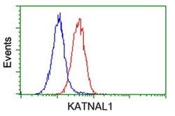 KATNAL1 Monoclonal Antibody (OTI6A4), TrueMAB , OriGene 100 &mu;L; Unconjugated:Antibodies,