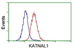KATNAL1 Monoclonal Antibody (OTI6A4), TrueMAB , OriGene 100 &mu;L; Unconjugated:Antibodies,