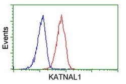 KATNAL1 Monoclonal Antibody (OTI1F5), TrueMAB , OriGene 100 &mu;L; Unconjugated:Antibodies,