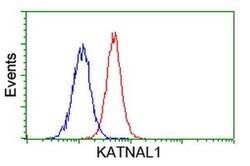KATNAL1 Monoclonal Antibody (OTI1F5), TrueMAB , OriGene 100 &mu;L; Unconjugated:Antibodies,