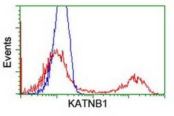 KATNB1 Mouse anti-Human, Clone: OTI5H6, lyophilized, TrueMAB 100 &mu;g;