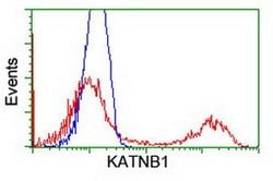 KATNB1 Monoclonal Antibody (OTI5H6), TrueMAB , OriGene 30 &mu;L; Unconjugated:Antibodies,