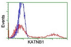 KATNB1 Monoclonal Antibody (OTI3B6), TrueMAB , OriGene 30 &mu;L; Unconjugated:Antibodies,