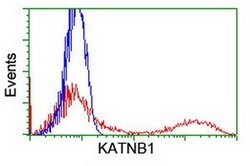 KATNB1 Monoclonal Antibody (OTI5A10), TrueMAB , OriGene:Antibodies:Primary