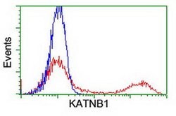 KATNB1 Monoclonal Antibody (OTI5F9), TrueMAB , OriGene:Antibodies:Primary