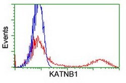 KATNB1 Mouse anti-Human, Clone: OTI5E1, lyophilized, TrueMAB 100 &mu;g;