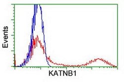 KATNB1 Monoclonal Antibody (OTI5E1), TrueMAB , OriGene 30 &mu;L; Unconjugated:Antibodies,