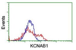 KCNAB1 Monoclonal Antibody (OTI3G3), TrueMAB , OriGene 100 &mu;L; Unconjugated:Antibodies,