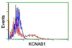 KCNAB1 Monoclonal Antibody (OTI1C2), TrueMAB , OriGene 100 &mu;L; Unconjugated:Antibodies,