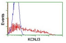 KCNJ3 Mouse anti-Human, Clone: OTI2F2, lyophilized, TrueMAB 100 &mu;g;