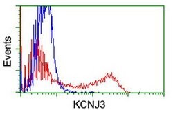KCNJ3 Monoclonal Antibody (OTI1G2), TrueMAB , OriGene 30 &mu;L; Unconjugated:Antibodies,