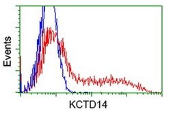 KCTD14 Monoclonal Antibody (OTI3A4), TrueMAB , OriGene 100 &mu;L; Unconjugated:Antibodies,