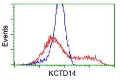 KCTD14 Mouse anti-Human, Clone: OTI1D11, lyophilized, TrueMAB 100 &mu;g;