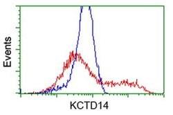 KCTD14 Monoclonal Antibody (OTI1D11), TrueMAB , OriGene 100 &mu;L; Unconjugated:Antibodies,