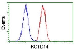 KCTD14 Mouse anti-Human, Clone: OTI1D11, lyophilized, TrueMAB 100 &mu;g;